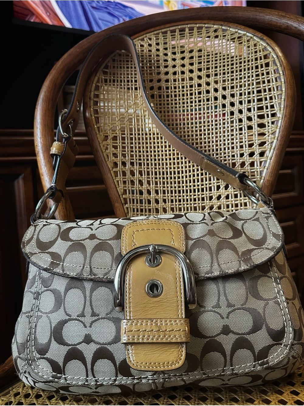 Signature Pattern Shoulder Bag in Tan and Brown